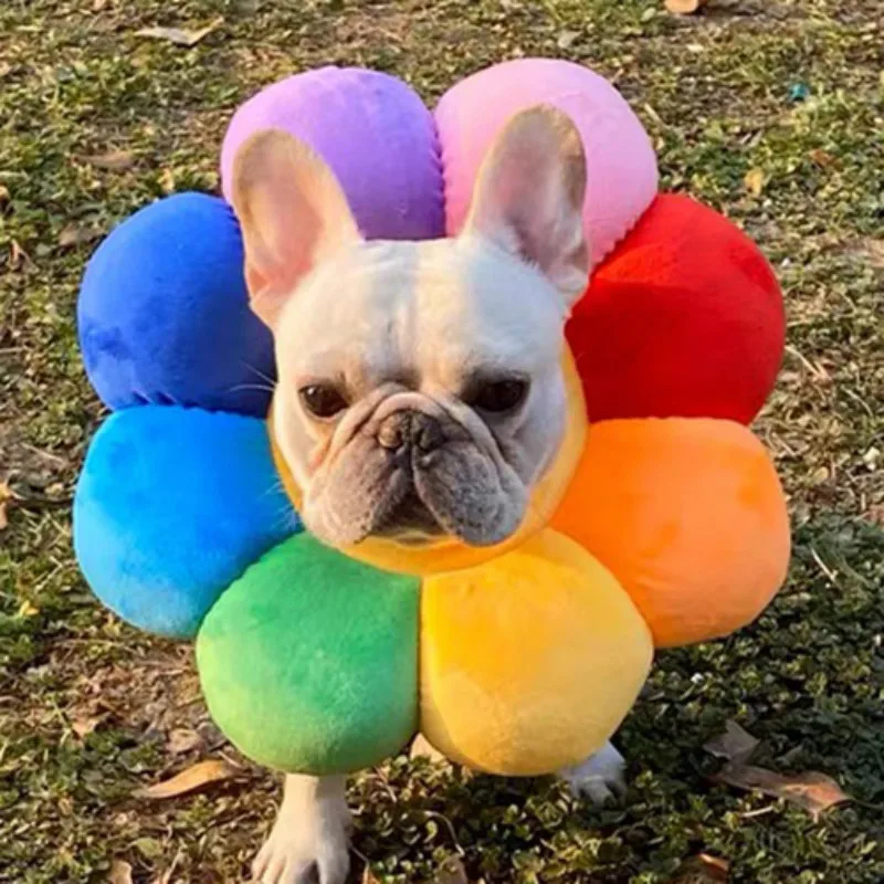 Модная игрушка для домашних животных маленького фардоу корги собака/кошка