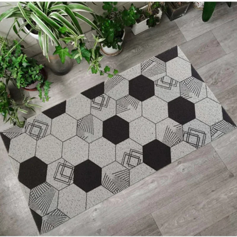 CINLAN Коврики придверные для дома полагрязезащитный ковер с рисунком в прихожую PVC