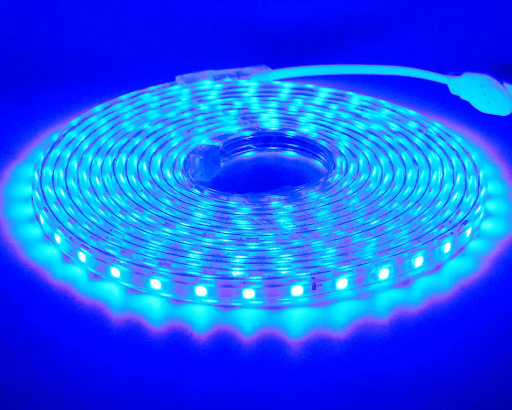 Blue Strip Lights LAIMAIK AC220V светодиодный светильник водонепроницаемый IP67 Светодиодный светильник 60 светодиодный s/m 5050SMD светодиодный светильник с регулируемой яркостью - Испускаемый цвет: Blue Strip Lights