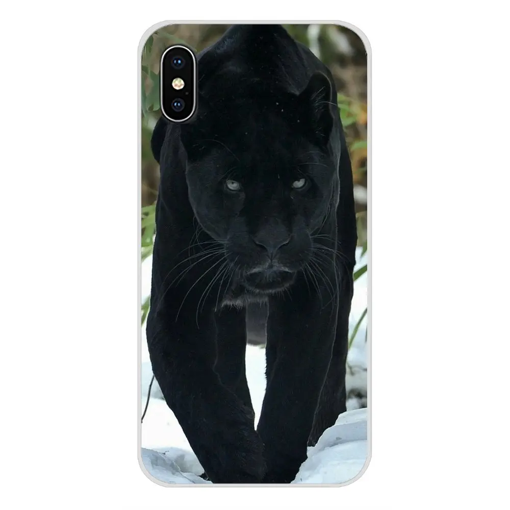 Чехлы для телефонов Apple iPhone X XR XS 11Pro MAX 4S 5S 5C SE 6S 7 8 Plus ipod touch 5 6 с изображением черной