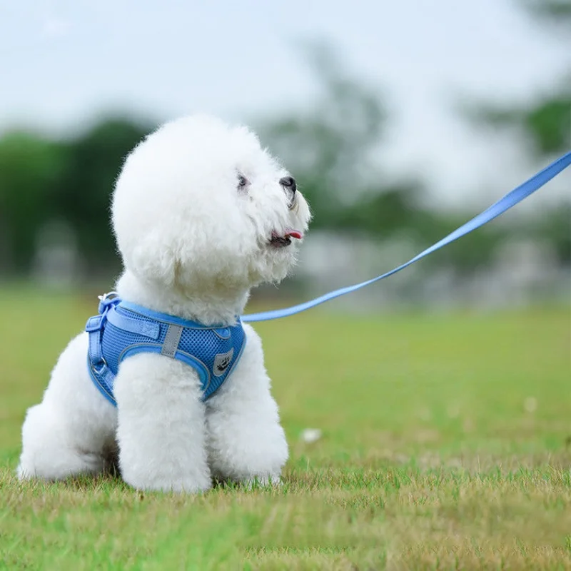 

Creative Pet Dog and Cat Harness with Leash Reflective and Breathable for Small and Large Dog Harness Vest Pet Supplies B