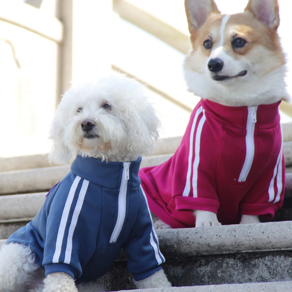 

Retro Nostalgia Temperamental Dog Pure Cotton SchoolUniform Dog Clothes Hoodie Comfortable Washable Pet Clothes PetSupplies