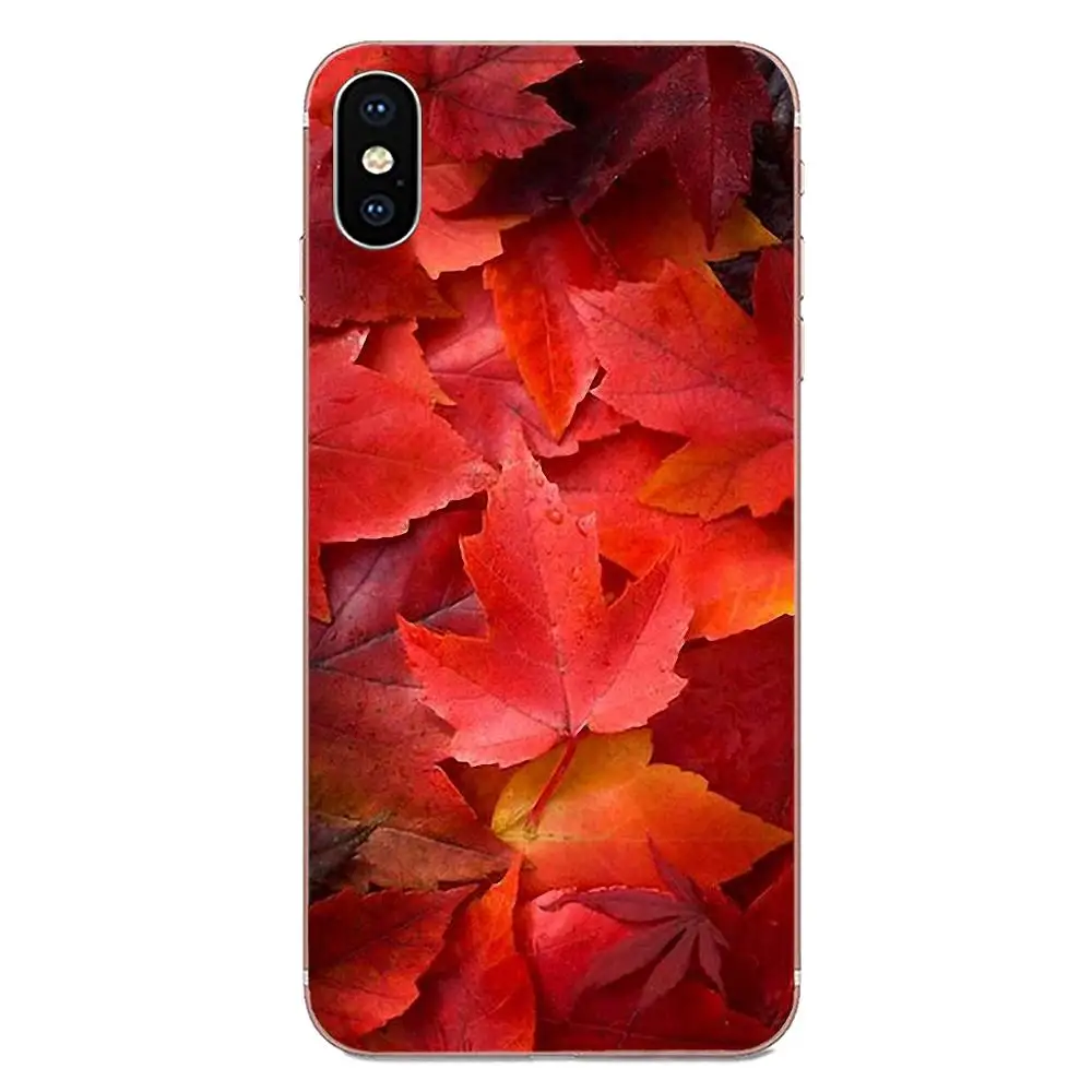 Падение Кленовые листья листьев осенью литературы и искусства для Galaxy Alpha Note 10 Pro