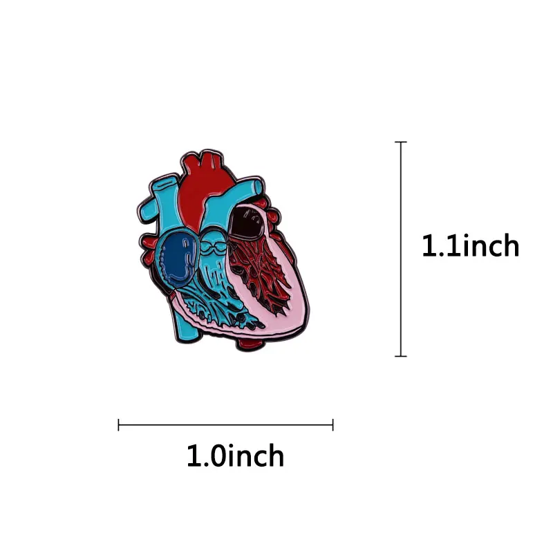 Human Organ Anatomical Heart Art Enamel Pin Science Biology CHD Awareness Brooch Anatomy Model Medical Badge | Украшения и