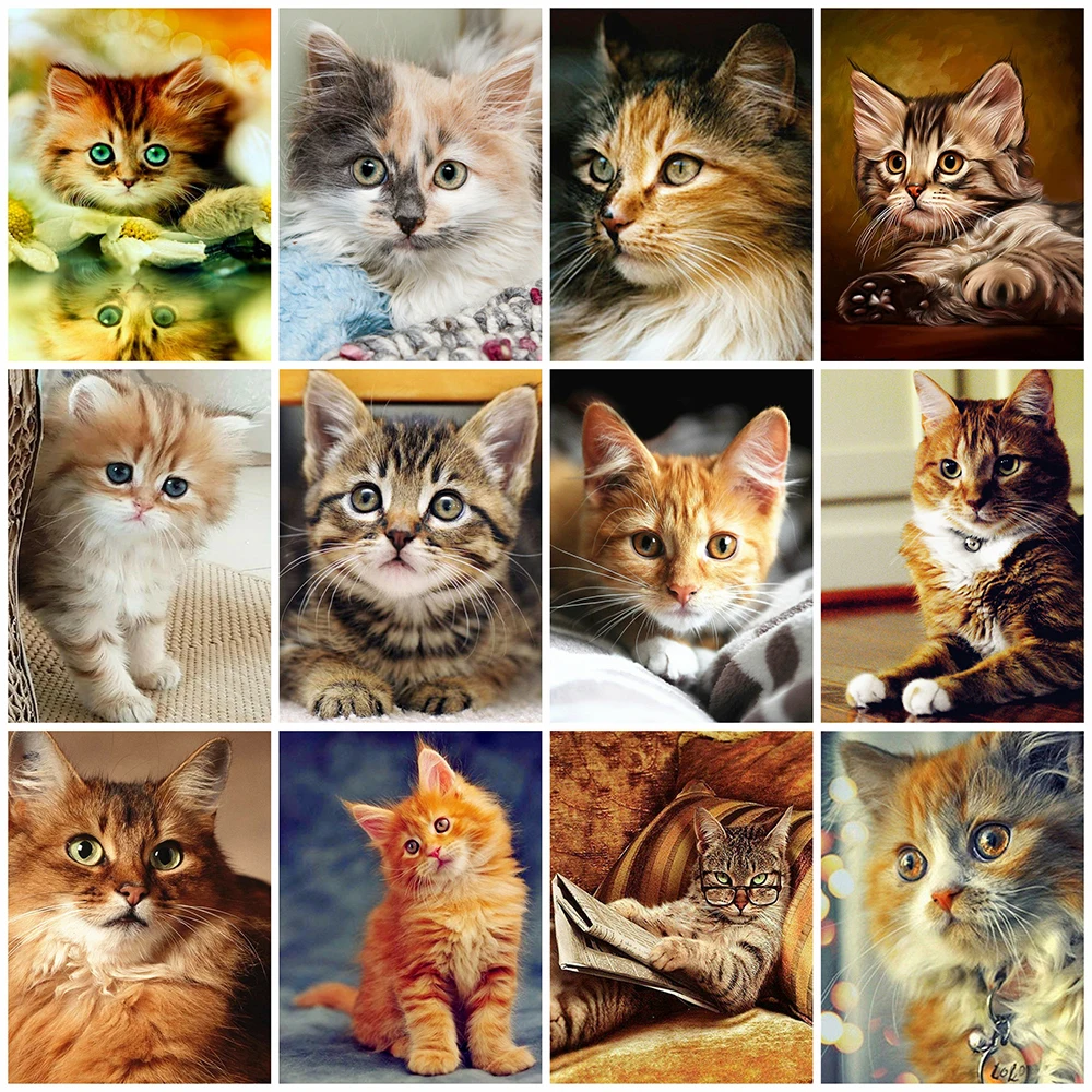 

ZOOYA 5D Diamond Painting Cat Picture Full Square Diamond Embroidery Animal Rhinestones Cross Stitch Mosaic Home Decor