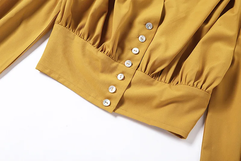 Tingfly Elegant Lantern Long sleeve Casual Blouse Women Sexy female Crop Top Lady Holiday Chic V neck blouse ZA women Clothes |