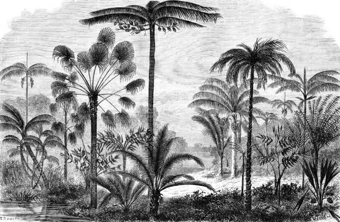 e branco europeu mural floresta retro pintados à mão selva linha pintura