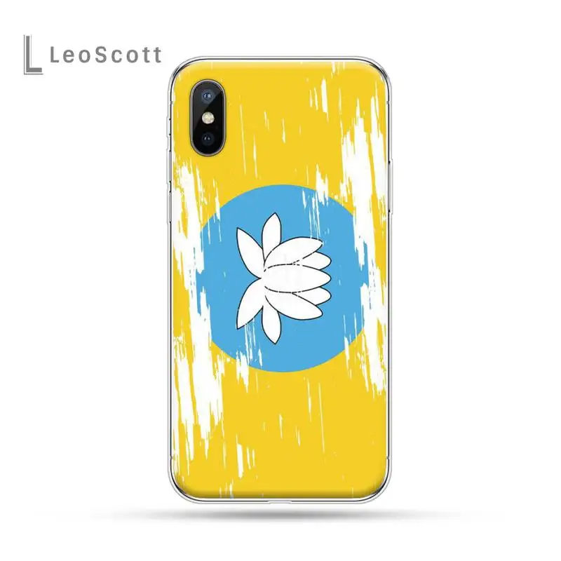 

Kalmykia Flag fashion pattern Phone Case for iPhone 11 12 mini pro XS MAX 8 7 6 6S Plus X 5S SE 2020 XR luxury shell cover