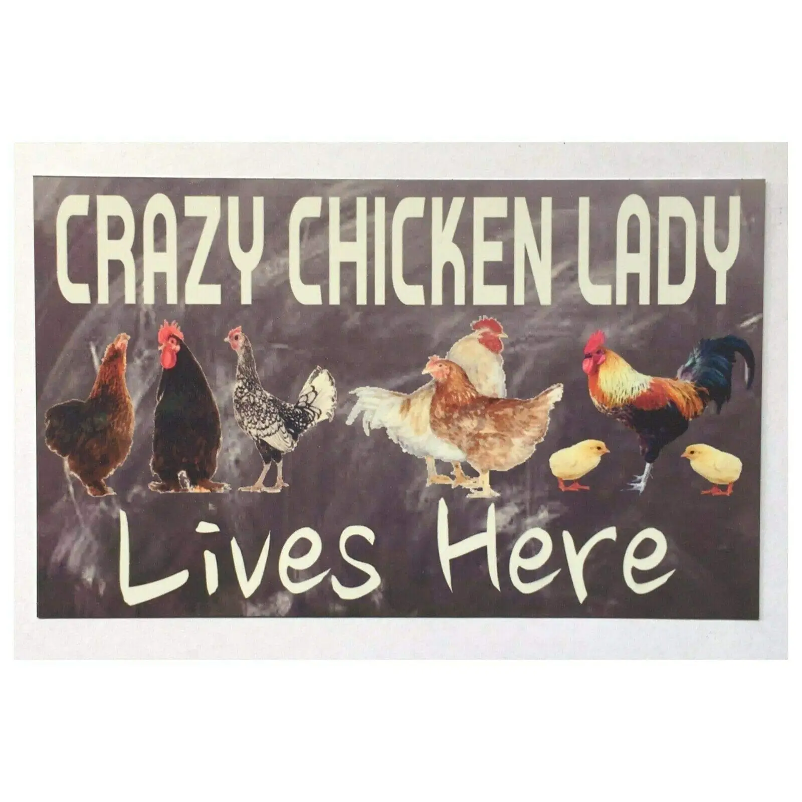 

New Vintage Retro Metal Funny Crazy Chicken Lady Lives Here Farm Country Street Garage & Home Bar Club Kitchen Hotel Wall D