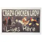 Новинка, винтажная металлическая забавная сумасшедшая курица в стиле ретро, леди живет здесь, ферма, улица, гараж и дом, бар, клуб, кухня, гостиница, Стена D