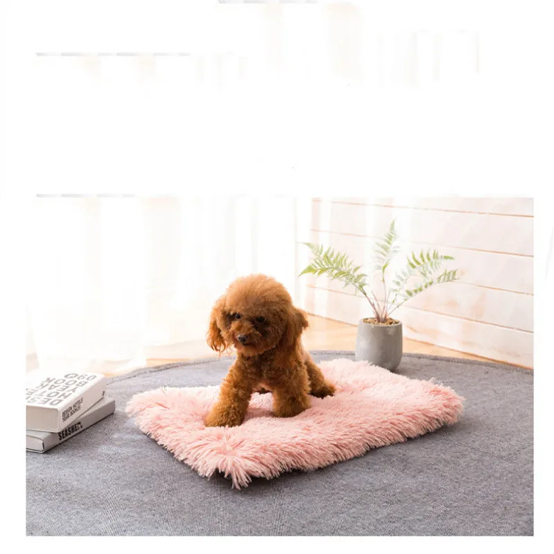 

Cat's House Tent Dog Ded House For Dogs Dog House Pet Chiens Dog Kennel Pet Ded For Dog Dog Cage Playpen Swimming Pool Dog House