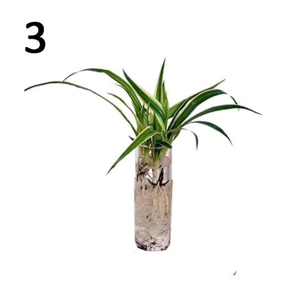 Креативная домашняя комната конус стеклянная мини настенная ваза с водой для