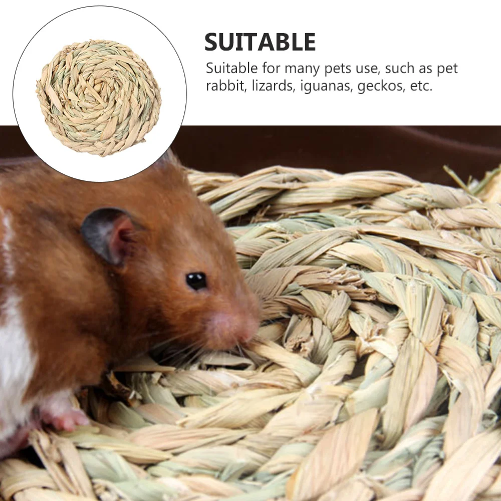 

2Pcs Summer Pet Pads Handwoven Mat Lizard Cool Mats Pet Supplies (Random Color)