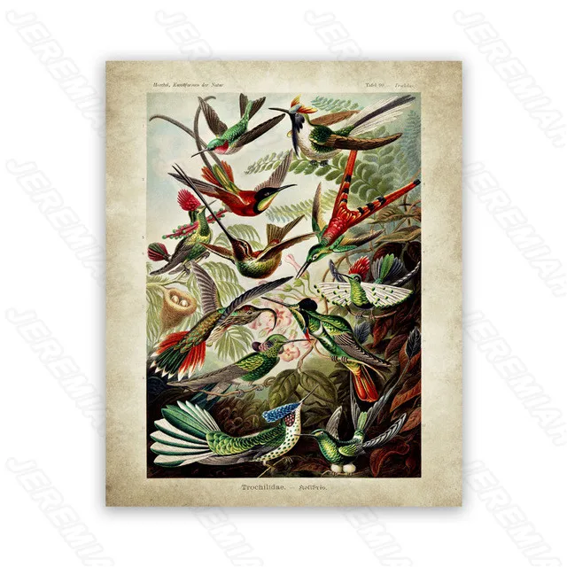 

Virgin Forest Landscape Poster Nordic Style Wall Canvas Canvas Print Painting Modern Living Room Bedroom Decoration