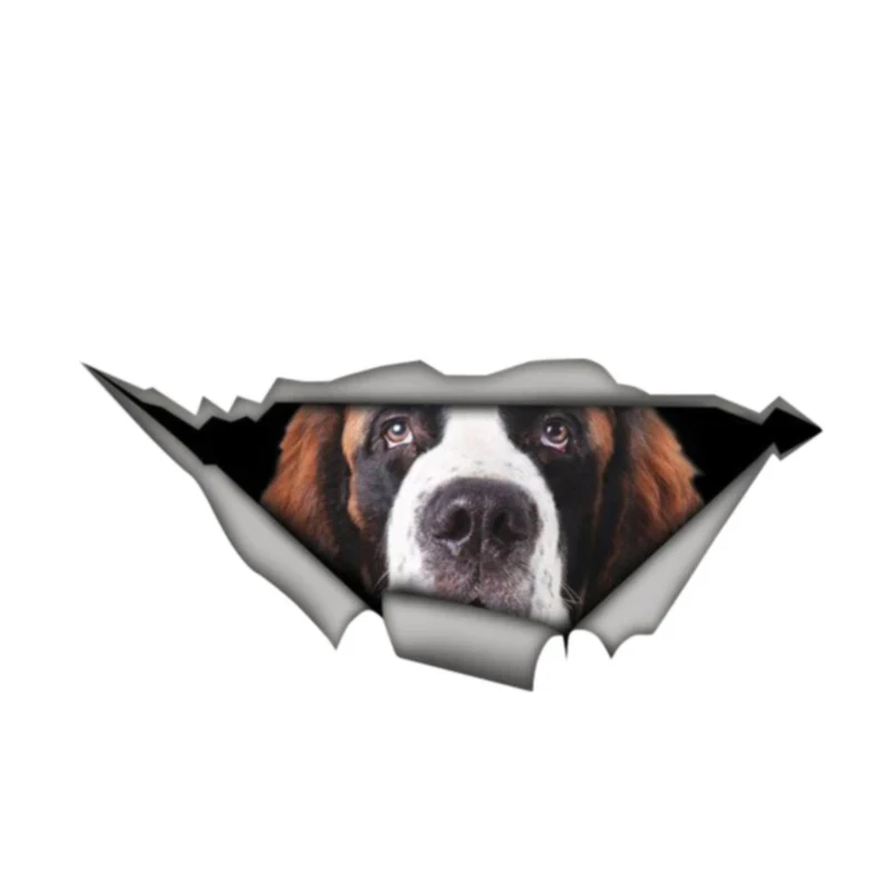 B0756 # самоклеящаяся наклейка Сен-Бернар, автомобильная наклейка, водонепроницаемые Автомобильные украшения на бампер, заднее окно, мотоцикл, ноутбук