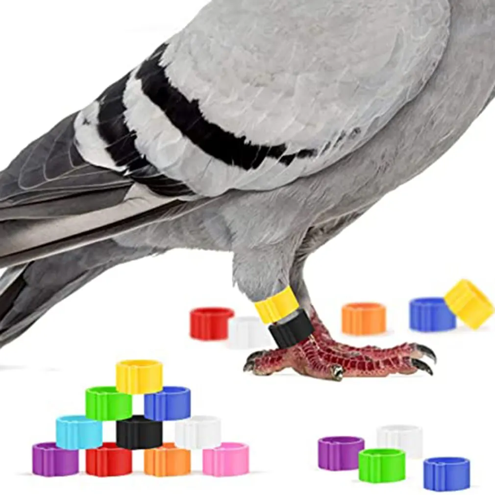 100 шт многоцветный кольцо на голубиную лапку голубь кольца 8 мм байонетная