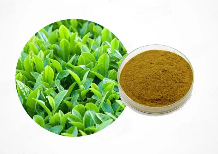 

100/500/1000 г экстракт зеленого чая, 80% катехин, антиоксидант, энергия, полифенолы, EGCG