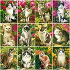 5D Diy алмазная живопись цветок кошка квадраткруглый мозаика вышитая картина Алмаз художник украшение дома