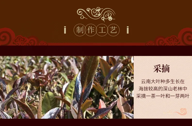 

2015 PU WEN Factory Zi Juan Tea Arbor Old Pu-erh Purple Bud Spring Puwen Pu-erh Raw 357g