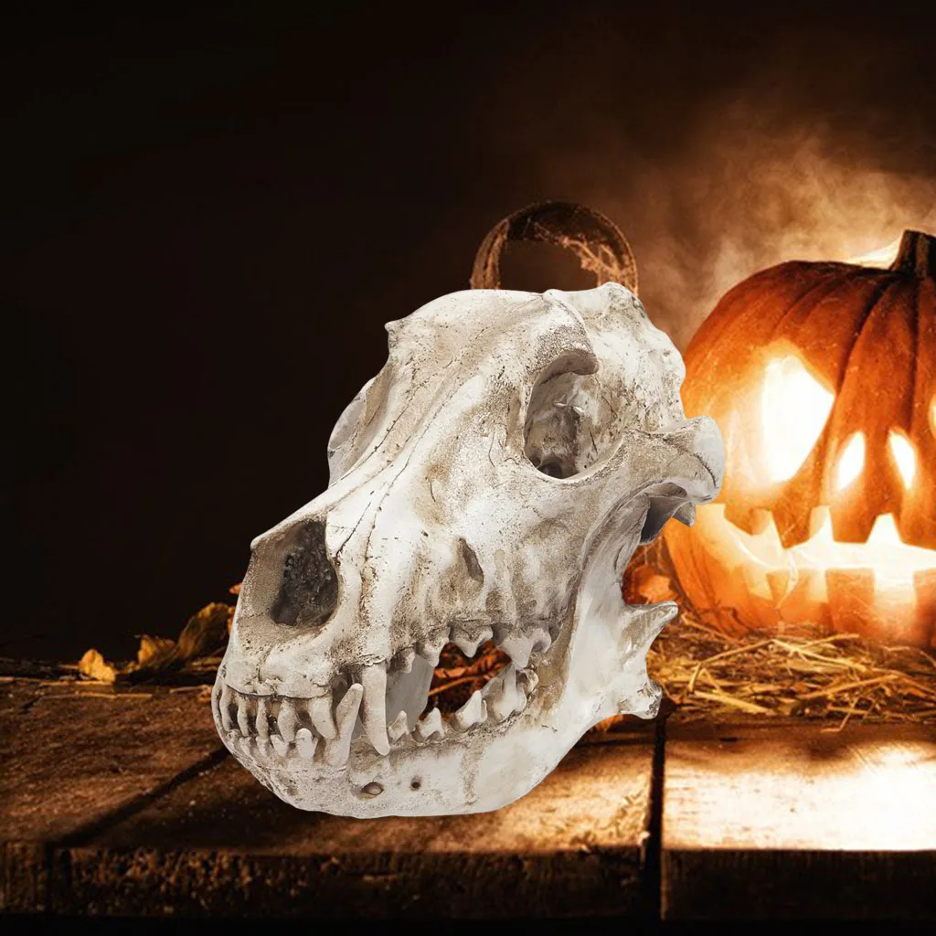 

Modern Animal Skull Sculpture Reptiles House Ornament Skeleton Statue Toy Photo Props Halloween Decor