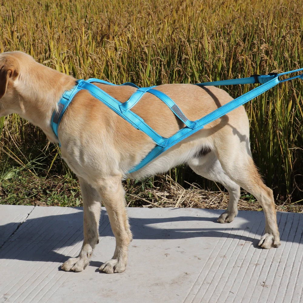 Собачья упряжка жгут ПЭТ Вес проводки Mushing чехол для спинки заднего поводок