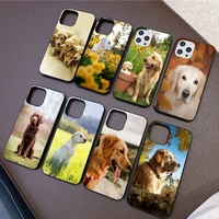 labrador dog phone case for iphone 11 8 7 6 6s plus x xs max 5 5s se 2020 xr 11 pro diy capa