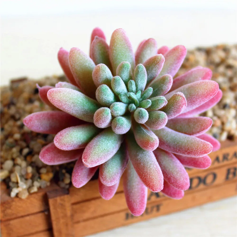 Искусственные суккуленты бонсай украшение для свадьбы Рождества вечеринки