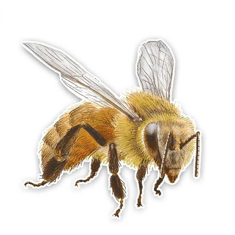 

SunscreenCartoon Creative Bee PVC Sticker Car Decal KK14*14cm