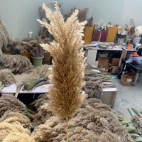 dried pampas grass decor wedding flower bunch natural plants for home christmas decorations gift dry flower