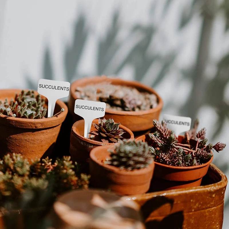 300 шт. пластиковые Т образные маркеры для растений 6 х10 см|Маркеры растений| |