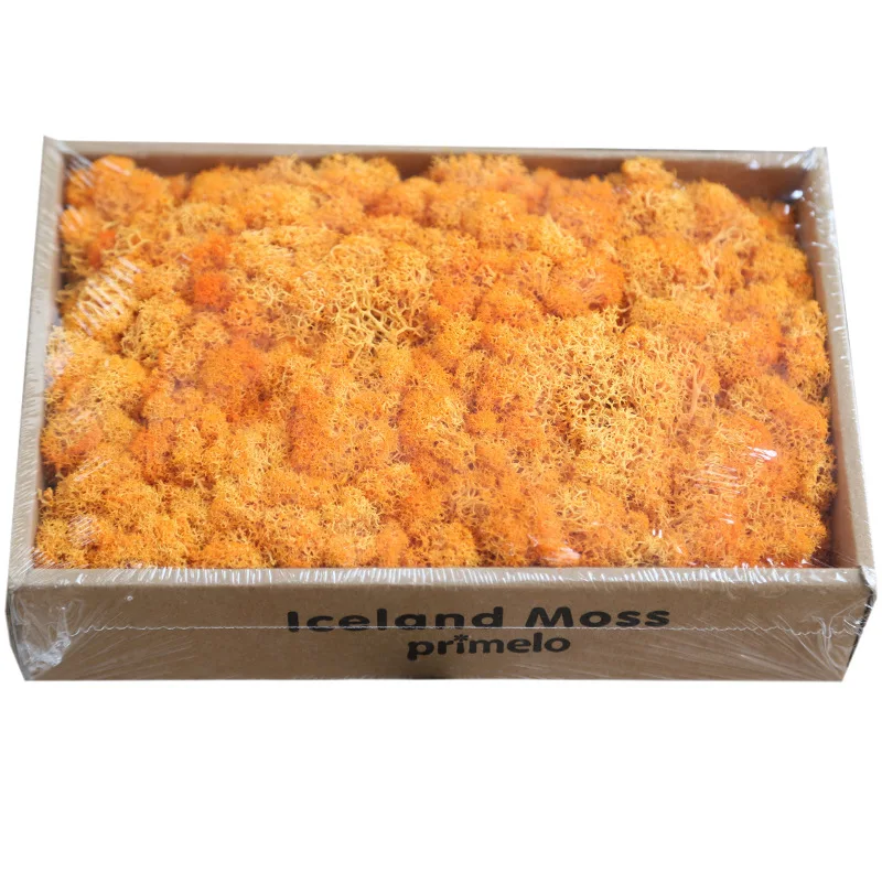 Вечный сушеный мох трава искусственный вечный сад домашний декор DIY сохраненный