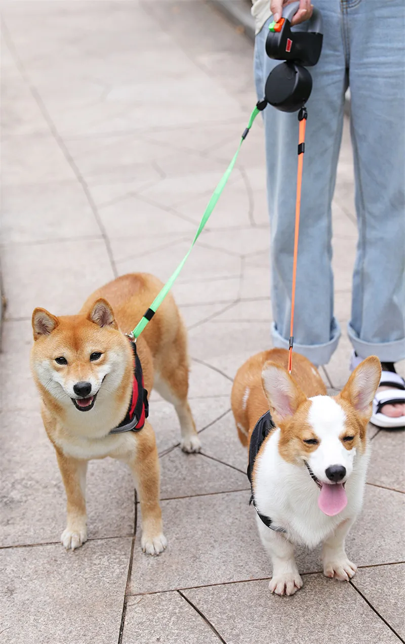 Автоматический выдвижной поводок из АБС-пластика для собак с двумя головками