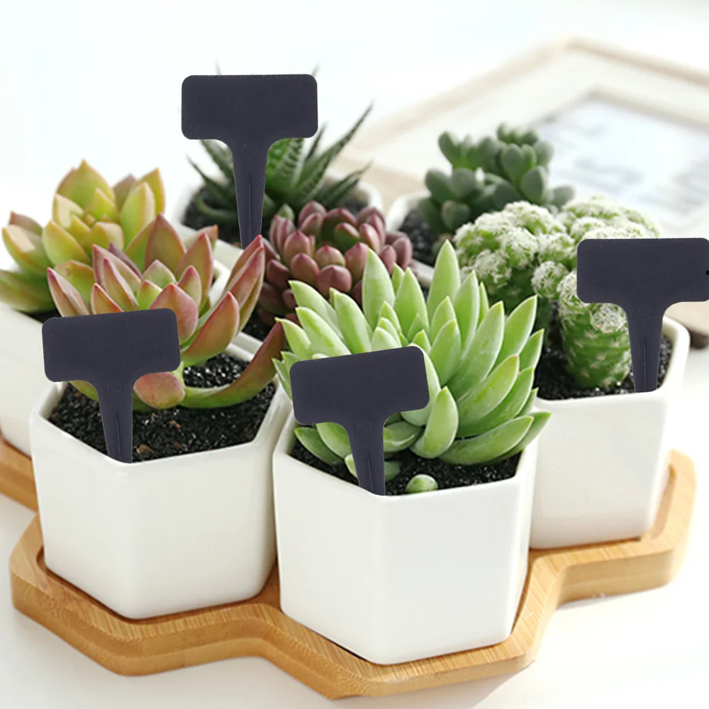 

100pcs 10x6cm Plant T-type Tags Markers Nursery Garden Labels (Black)