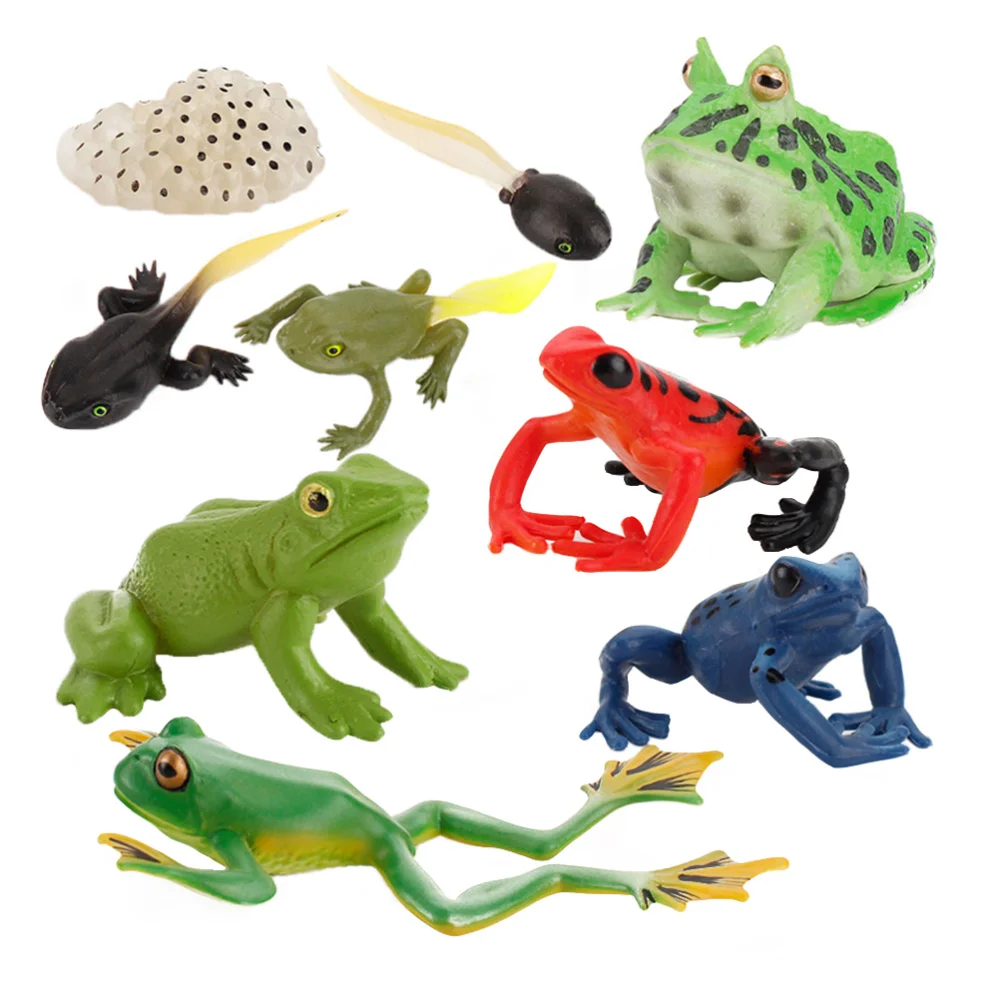 

1 Set/9pcs Funny Frogs Life Cycle Figurines Funny Children Cognitive Model