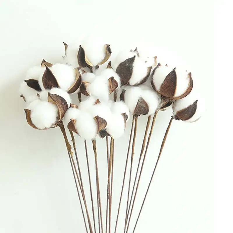 

Nordic Dried Cotton Flowers Natural Cotton Stems Flower for Home Bar Shop Decoration Wedding Dried Flowers Decoration 23 Inches
