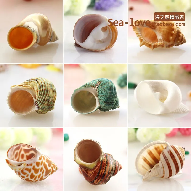 Спиральный корпус аквариум для рыб Crabs украшение аквариума натуральный раковины