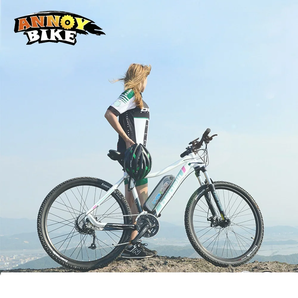 Бесплатная таможенная пошлина 48V 750W литиевая батарея 10AH ebike литий ионная