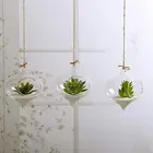 Прозрачная настенная стеклянная ваза 10 см, висячая ваза для террариума, растений, цветов, гидропонных микроландшафтов, домашний декоративный подсвечник сделай сам