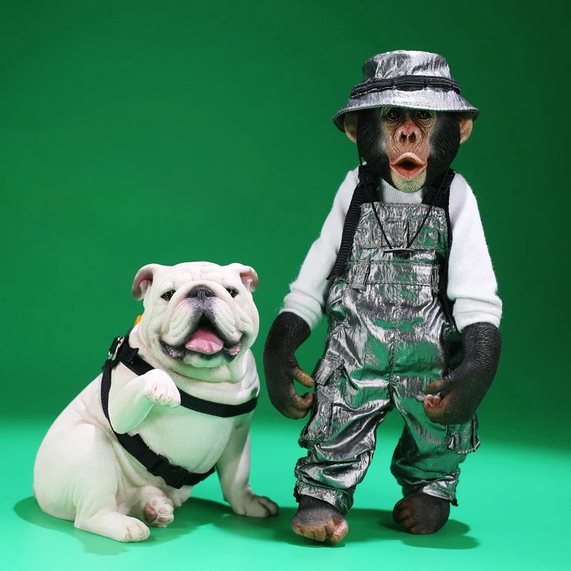 

Карманная фигурка мистера зэ Джимми бульдога, 7 дюймов, модель животного, шарнирная игрушка, украшения для детей, взрослых, детей, подарок на ...