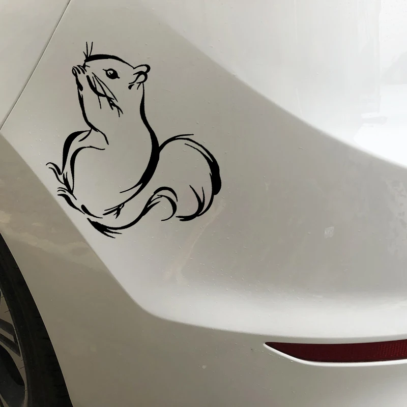 Красивые красивые декоративные наклейки на багажник белки автомобильные