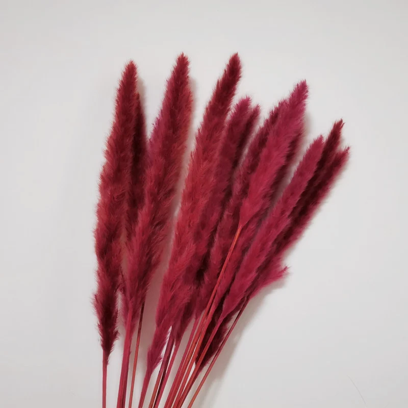 

15pcs Natural Dried Pampas Grass Reed Phragmites Dry Flower Plants Wedding Flower Home Living Room Decoration Table Accessories
