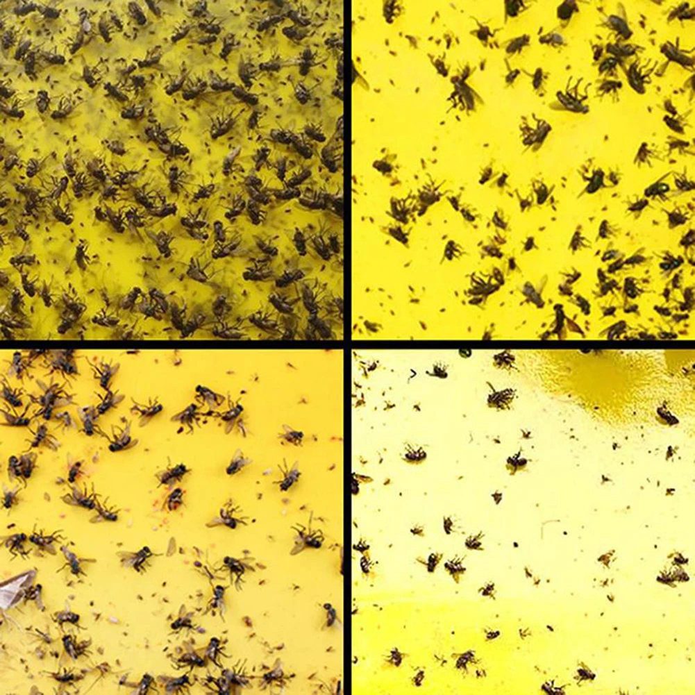 

50pcs Strong Flies Traps Bugs Sticky Board Catching Insects Pest Killer