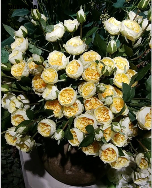 10 шт./лот! Оптовая продажа высококачественные искусственные шелковые розы с 5