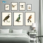 Ретро постер с птицами и печать позвоночника, холст, живопись, корморант, птица, Настенная картина, реалистичное искусство, роспись, домашний декор для гостиной