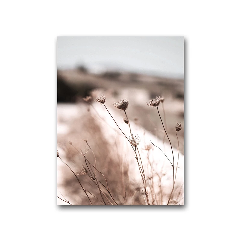 

Nordic Morden Pink Plant Flower Landscape Decoration Canvas Painting Wall Art and Paint Picture for Living Room Bedroom Home