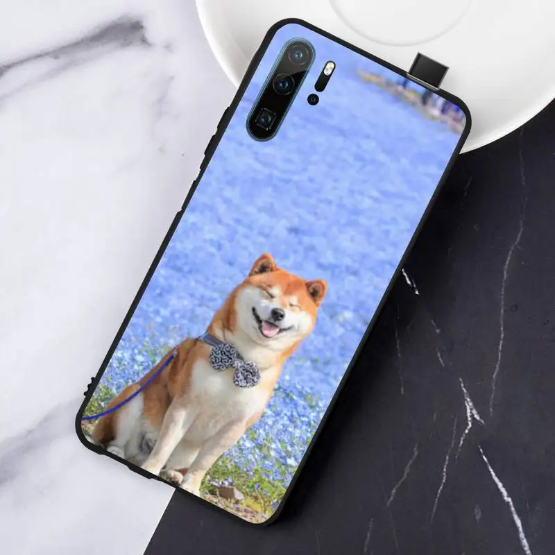 

Animal Cute dog Akita coque Phone Case For Huawei honor Mate P 10 20 30 40 Pro 10i 9 10 20 8 x Lite