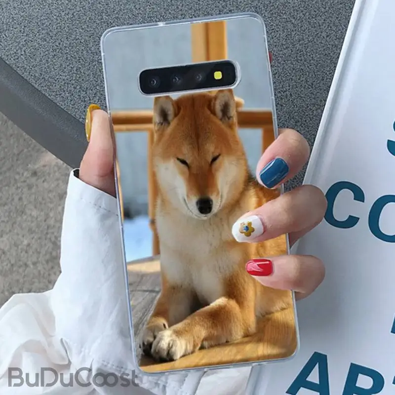 Riccu чехол для телефона с изображением животного Шиба-ину Samsung Galaxy S10 Plus S10E S6edge S7edge S8