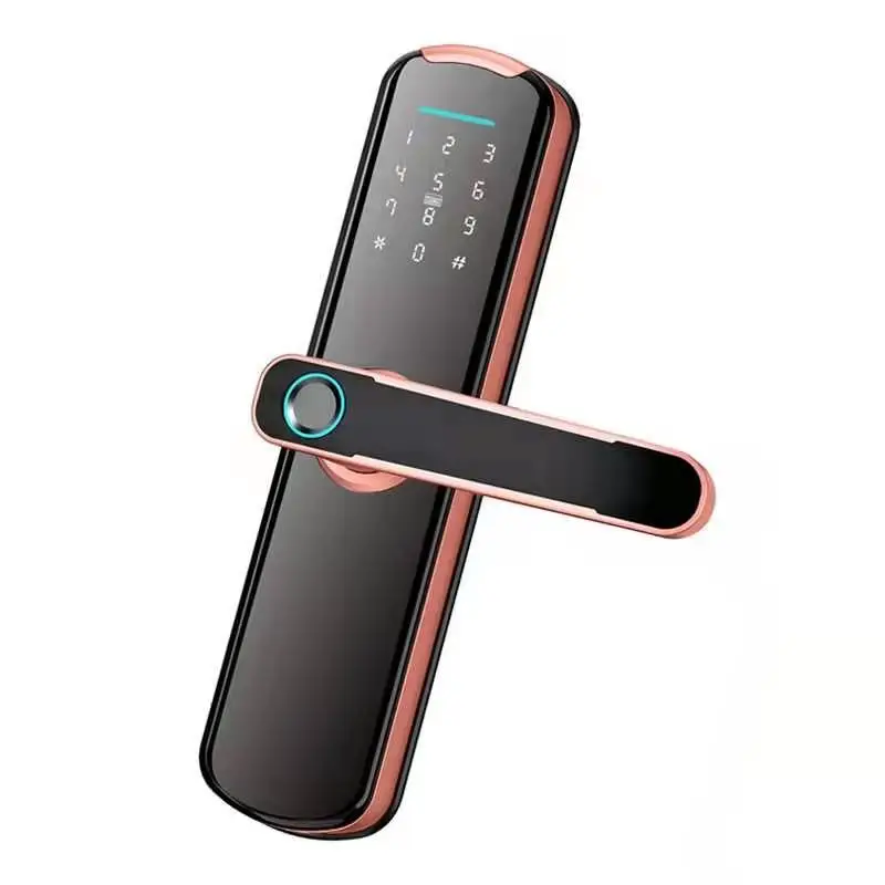Выгодная цена S807L Хорошее качество Smart TTlock Wi-Fi управление через приложение пароль