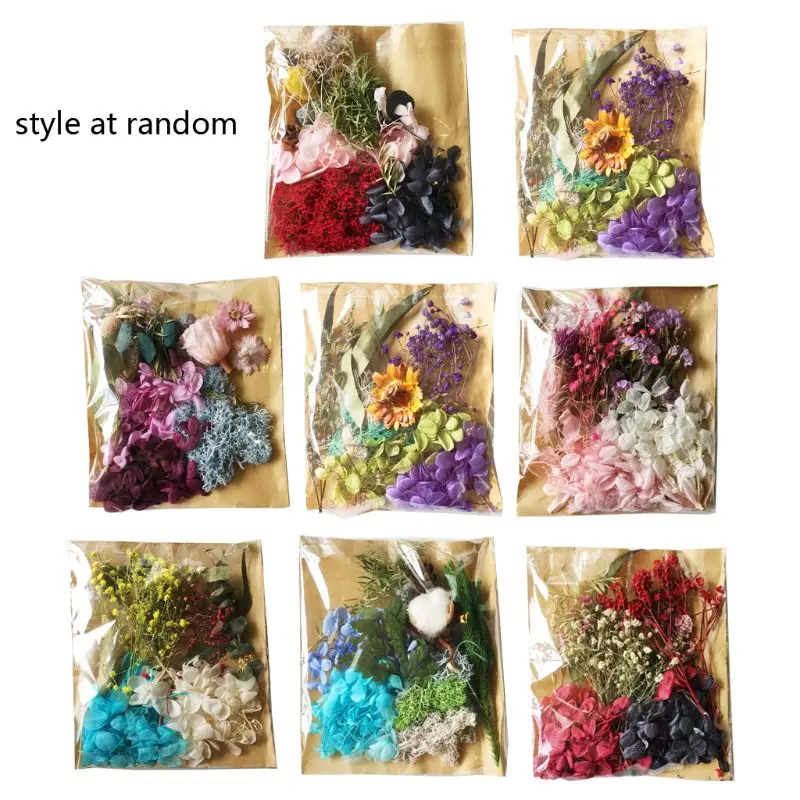

Real Pressed Flower Leaf Dried Daisy Flower Resin Flower Dry Beauty Nail Art Decals Epoxy Mold Fillings Jewelry Making