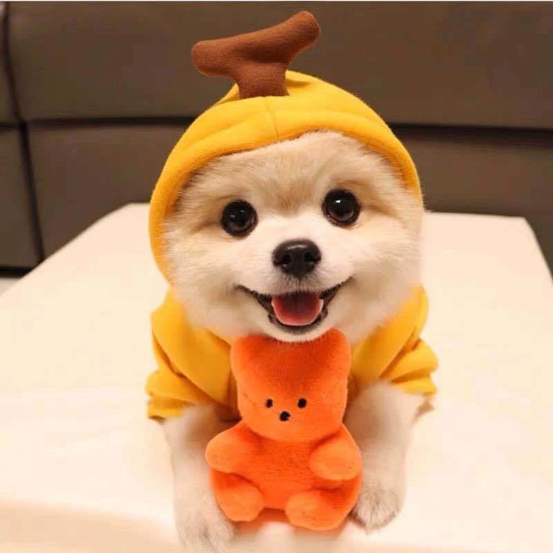 

Dog Winter Warm Clothes Cute Pet Plush Coat Hoodies Fruit Dog Cat Costumes Jacket for Small Medium Dog Bulldog Chihuahua
